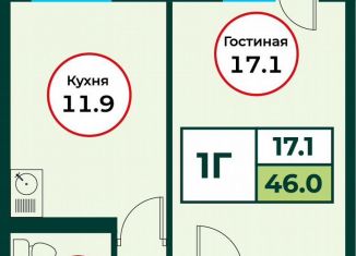 Продаю однокомнатную квартиру, 46 м2, посёлок Солонцы, жилой комплекс Эко, 3