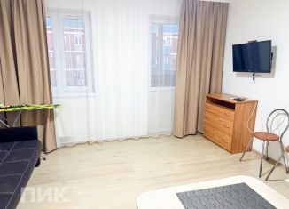 Сдача в аренду квартиры студии, 24 м2, посёлок Берёзовый, улица имени Туполева А.Н., 1, ЖК Прогресс