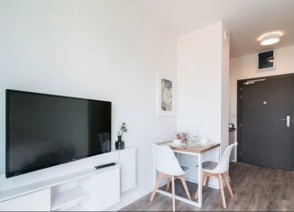 Продается квартира студия, 19.4 м2, Санкт-Петербург, Кадетская линия, 29, метро Василеостровская