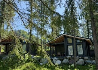 Сдам в аренду дом, 40 м2, село Артыбаш, Еловый переулок, 11