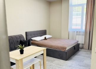 Сдаю квартиру студию, 45 м2, Сочи, Теневой переулок, 138, микрорайон Мамайка