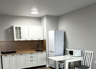 1-комнатная квартира на продажу, 34 м2, Краснодар, улица Героев-Разведчиков, 17, микрорайон Восточно-Кругликовский