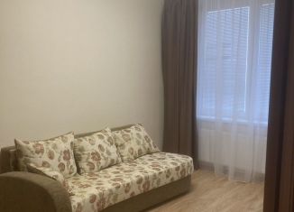 Сдается в аренду 1-ком. квартира, 33 м2, деревня Новое Девяткино, Арсенальная улица, 4, ЖК Девяткино