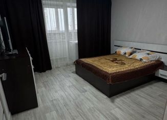 1-комнатная квартира в аренду, 36 м2, Вологда, Ягодная улица, 10