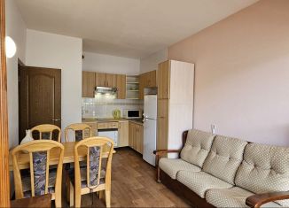 Сдаю в аренду 1-комнатную квартиру, 43 м2, Сочи, Звёздная улица, 11, микрорайон Совхоз Приморский