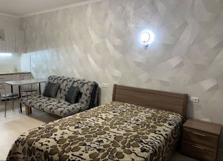 Сдается в аренду квартира студия, 28 м2, Котельники, Сосновая улица, 2, ЖК Белые Росы