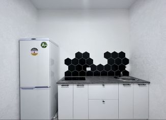 Сдается 1-комнатная квартира, 27 м2, Мурино, Воронцовский бульвар, 21к2