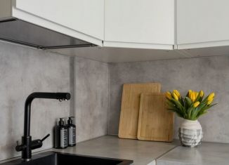 Продажа 2-ком. квартиры, 47.9 м2, Санкт-Петербург, улица Олеко Дундича, 35к1, Фрунзенский район