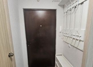 Сдам квартиру студию, 26 м2, Ростов-на-Дону, переулок Поленова, 21/10, ЖК Платовский