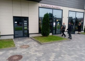 Продаю помещение свободного назначения, 176.2 м2, Санкт-Петербург, Заневский проспект, 65