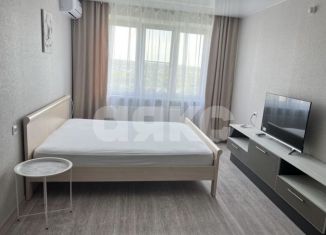 Сдам в аренду 2-комнатную квартиру, 57.5 м2, Ростов-на-Дону, Художественная улица, 9, ЖК Платовский