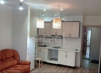 Сдается квартира студия, 28 м2, Новосибирск, улица Виктора Уса, 7, Кировский район