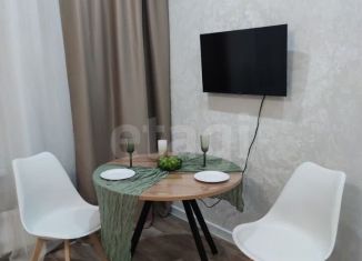 Квартира на продажу студия, 23.7 м2, Санкт-Петербург, Планерная улица, 87к1, муниципальный округ Юнтолово