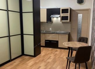 Сдается в аренду квартира студия, 24.4 м2, Санкт-Петербург, Светлановский проспект, 60к3, метро Гражданский проспект