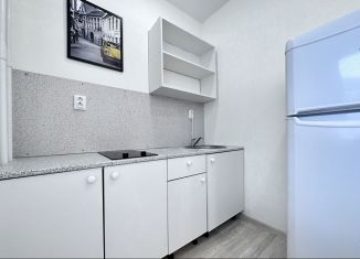 Сдам квартиру студию, 25 м2, Мурино, Екатерининская улица, 30