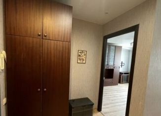1-комнатная квартира в аренду, 40 м2, Нижний Новгород, улица Героя Шнитникова, 10