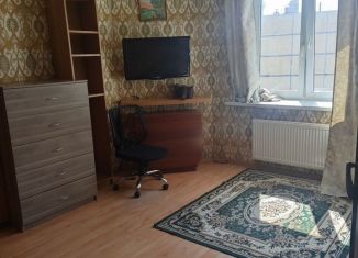 1-ком. квартира в аренду, 33 м2, Санкт-Петербург, Октябрьская набережная, 124к7, метро Обухово