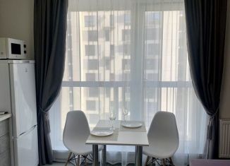 Сдам квартиру студию, 24.9 м2, Челябинск, улица Блюхера, 123Е