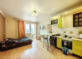 Продаю квартиру студию, 25.9 м2, Мурино, проспект Авиаторов Балтики, 3