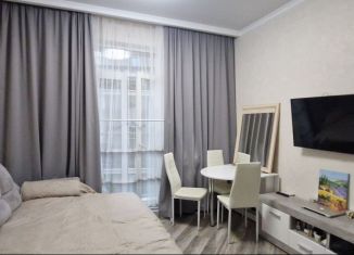 Продается квартира студия, 27 м2, Сочи, улица Бытха, 2Б, микрорайон Бытха