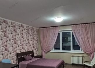 Сдам квартиру студию, 31 м2, Новосибирск, улица Виктора Шевелёва, 30, Кировский район