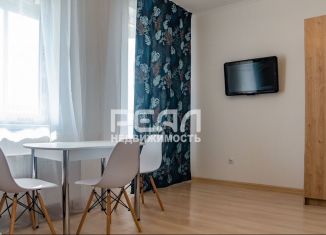 Аренда квартиры студии, 25 м2, Санкт-Петербург, Плесецкая улица, 10, метро Комендантский проспект