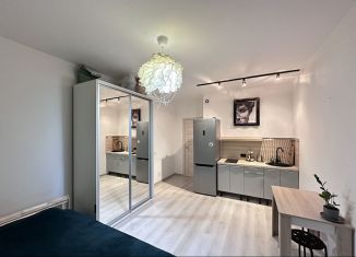 Квартира в аренду студия, 24 м2, Санкт-Петербург, Верхне-Каменская улица, 5, Приморский район