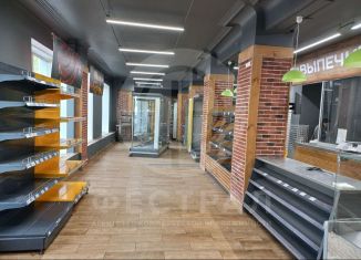 Продам помещение свободного назначения, 297.6 м2, Казань, улица Патриса Лумумбы, 28, Советский район