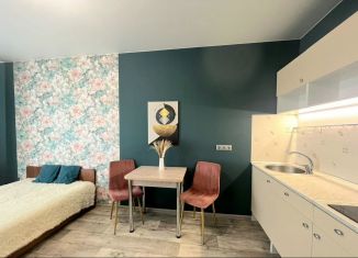 Продается квартира студия, 26 м2, Анапа, Владимирская улица, 142, ЖК Триумф