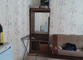 Аренда 1-комнатной квартиры, 28 м2, Новосибирская область, Национальная улица, 5