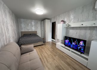 Аренда 1-комнатной квартиры, 31 м2, Тульская область, улица Дружбы, 26