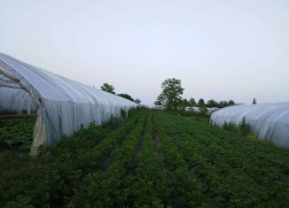 Продаю дом, 48.7 м2, хутор Колдрасинский, Луговая улица