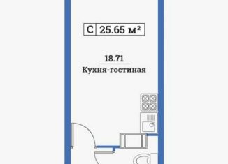 Продается квартира студия, 24.8 м2, Мурино, улица Шувалова, 40, ЖК Цвета радуги