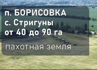 Земельный участок на продажу, 8000 сот., поселок городского типа Борисовка, площадь Ушакова