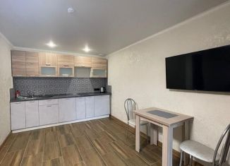 Продаю таунхаус, 28 м2, деревня Якты-Куль, Центральная улица, 1/1А