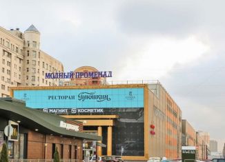 Продам торговую площадь, 1048 м2, Санкт-Петербург, Комендантский проспект, 9к2, Приморский район