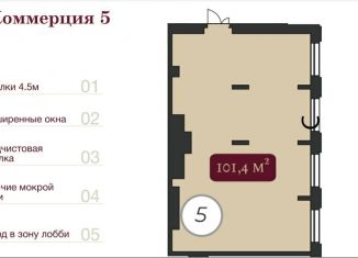 Сдам помещение свободного назначения, 101.4 м2, Новосибирск, Красный проспект, 220