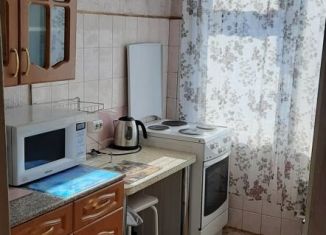Сдаю двухкомнатную квартиру, 44 м2, Новосибирск, улица Олеко Дундича, 3, метро Берёзовая роща