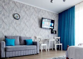 Квартира в аренду студия, 30 м2, Новосибирск, улица Титова, метро Площадь Маркса