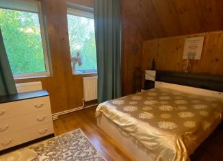 Сдам в аренду дом, 75 м2, деревня Мишуткино, Живописная улица, 1