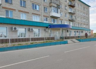 Помещение свободного назначения на продажу, 907.9 м2, Ишим, Береговая улица, 21