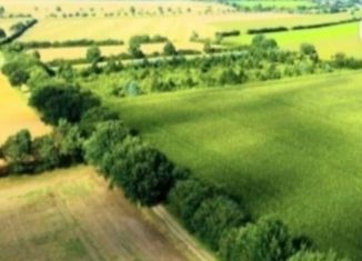 Продажа земельного участка, 425 сот., деревня Малые Параты