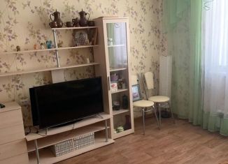 Однокомнатная квартира в аренду, 35 м2, Самарская область, микрорайон Крутые Ключи, 38