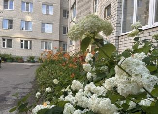 2-комнатная квартира на продажу, 45 м2, Котовск, улица Котовского, 47к2