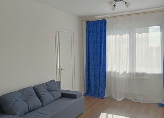 1-комнатная квартира в аренду, 33 м2, Санкт-Петербург, Муринская дорога, 9к3