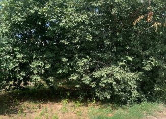 Продается земельный участок, 8 сот., посёлок Вишняки, Пионерская улица