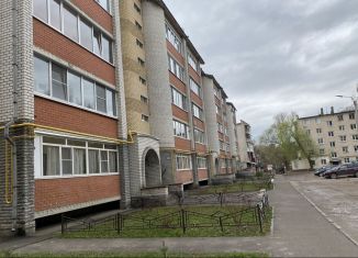 Однокомнатная квартира в аренду, 55 м2, Нижегородская область, проспект Ленина, 186к2