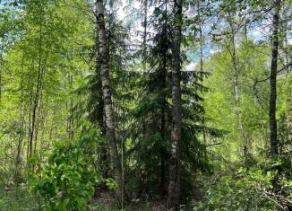 Земельный участок на продажу, 12.3 сот., деревня Минино, Центральная улица, 1