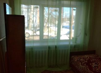 Сдается в аренду 2-комнатная квартира, 35 м2, Нижегородская область, Центральная улица, 2