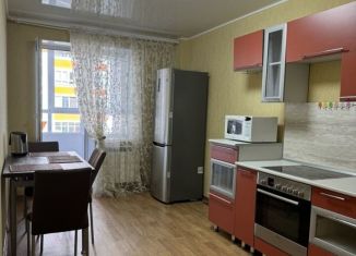 Сдается в аренду однокомнатная квартира, 42 м2, Томская область, Советская улица, 69